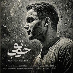دانلود آهنگ شادمهر عقیلی تنهاییام